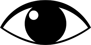 eye